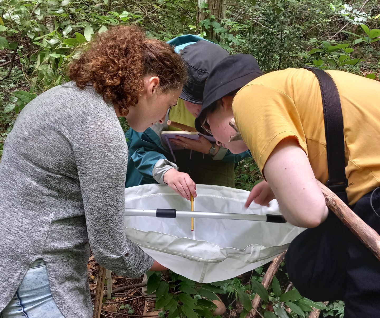 Students conducting fieldwork