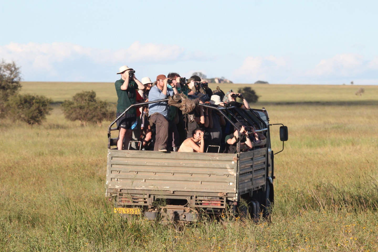 A group of students on a field trip in the Serengeti National Park, stood on a truck using binoculars. 
