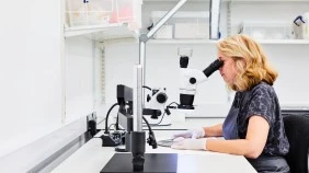 An art conservator using a microscope to examine an artefact